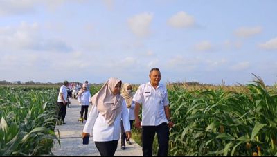 Dokumentasi Pemeriksaan Pembangunan Jalan Batas Desa Bocor–Desa Waluyo oleh Inspektorat Daerah Kabupaten Kebumen